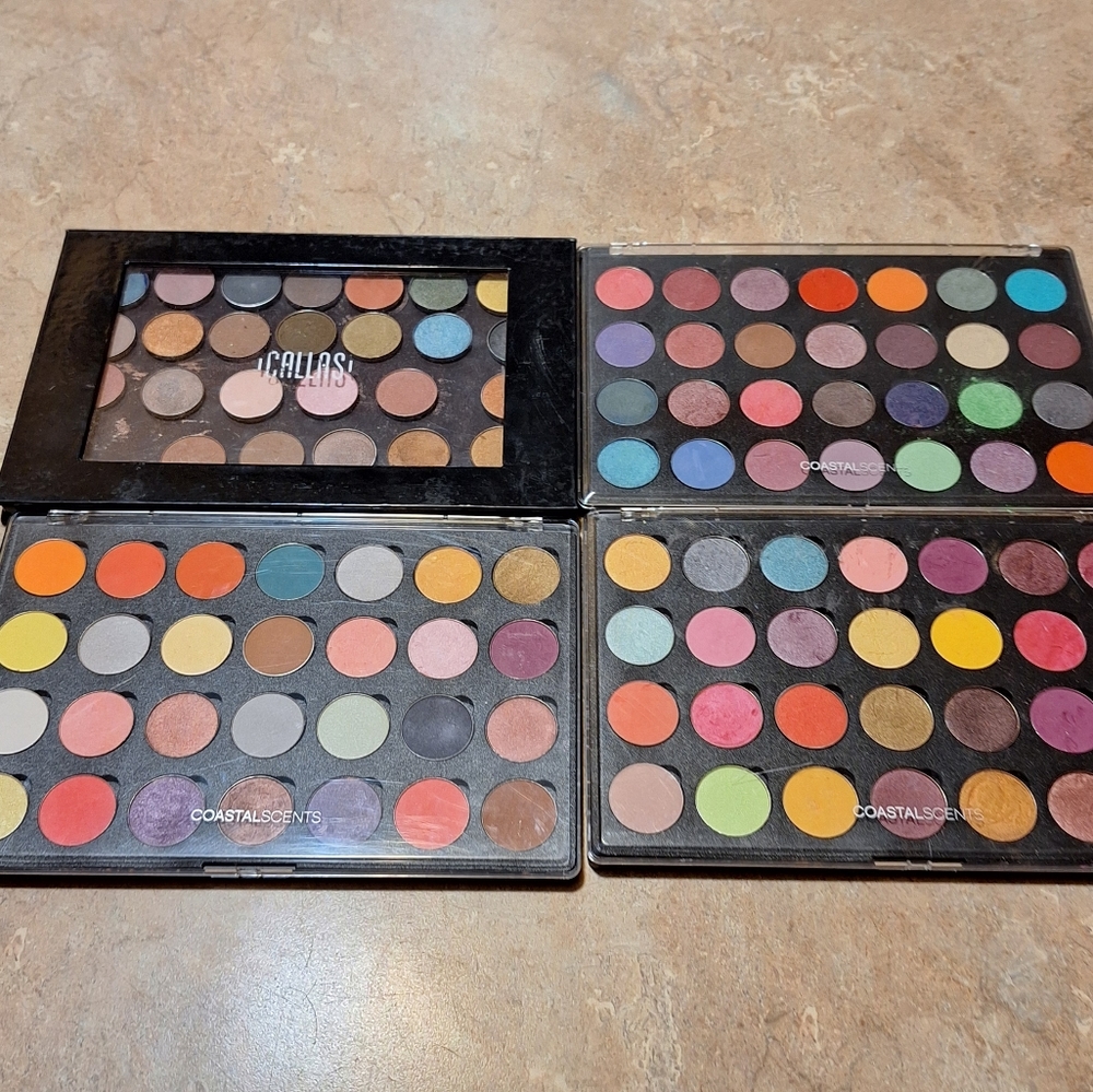 Coastal Scents eyeshadow palettes